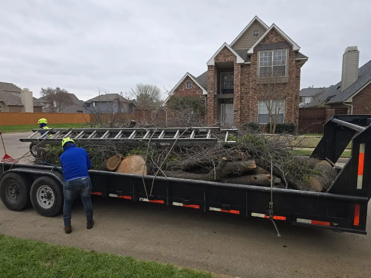 Expert Crown Reduction with proper safety equipment in Spillville